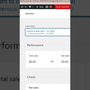 Woocommerce analytics in WordPress #shorts #wordpress