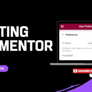 How To Do Settings Elementor In WordPress