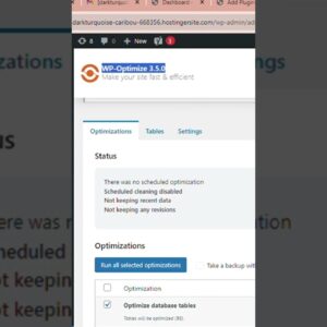 Optimizing your site’s database in wordpress  #shorts #wordpress